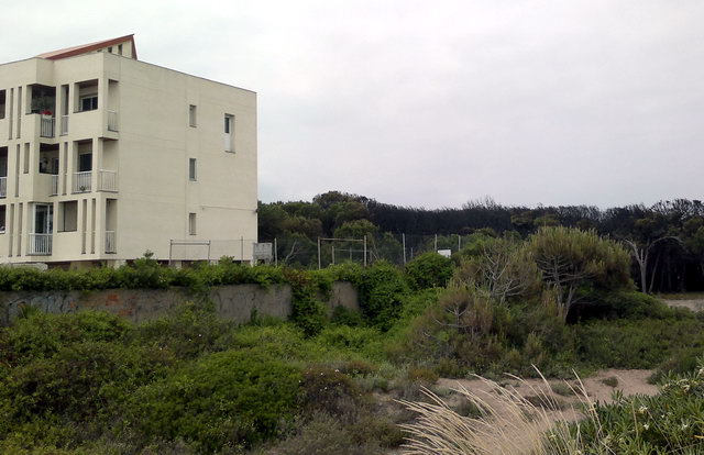 Imatge dels apartaments Evissa de Gav Mar al costat de la pineda cremada en un incendi (19 Maig 2012)
